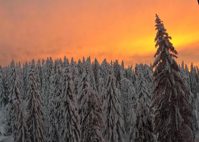 Daire Woodside - Malo Jezero, Free Parking &