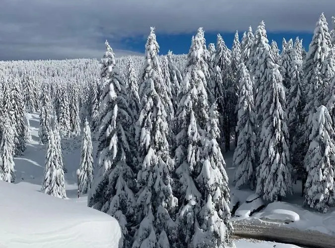 Woodside - Malo Jezero, Free Parking & *