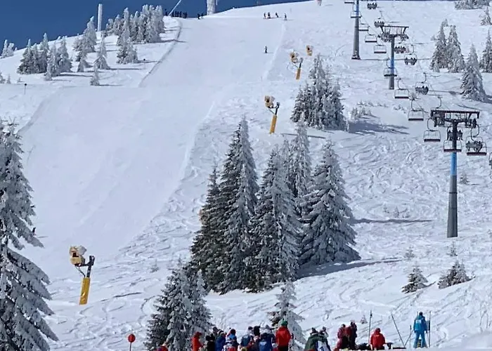 Daire Woodside - Malo Jezero, Free Parking & Kopaonik